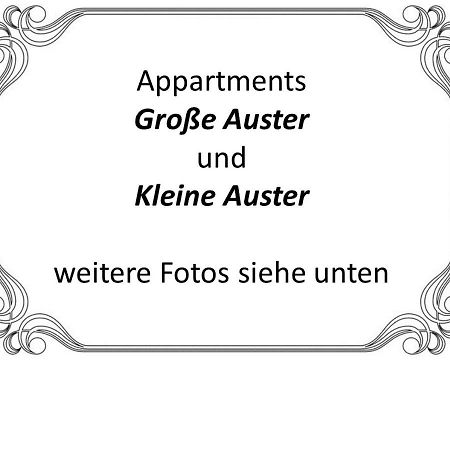 Auster-Appartements Saarbrücken Buitenkant foto