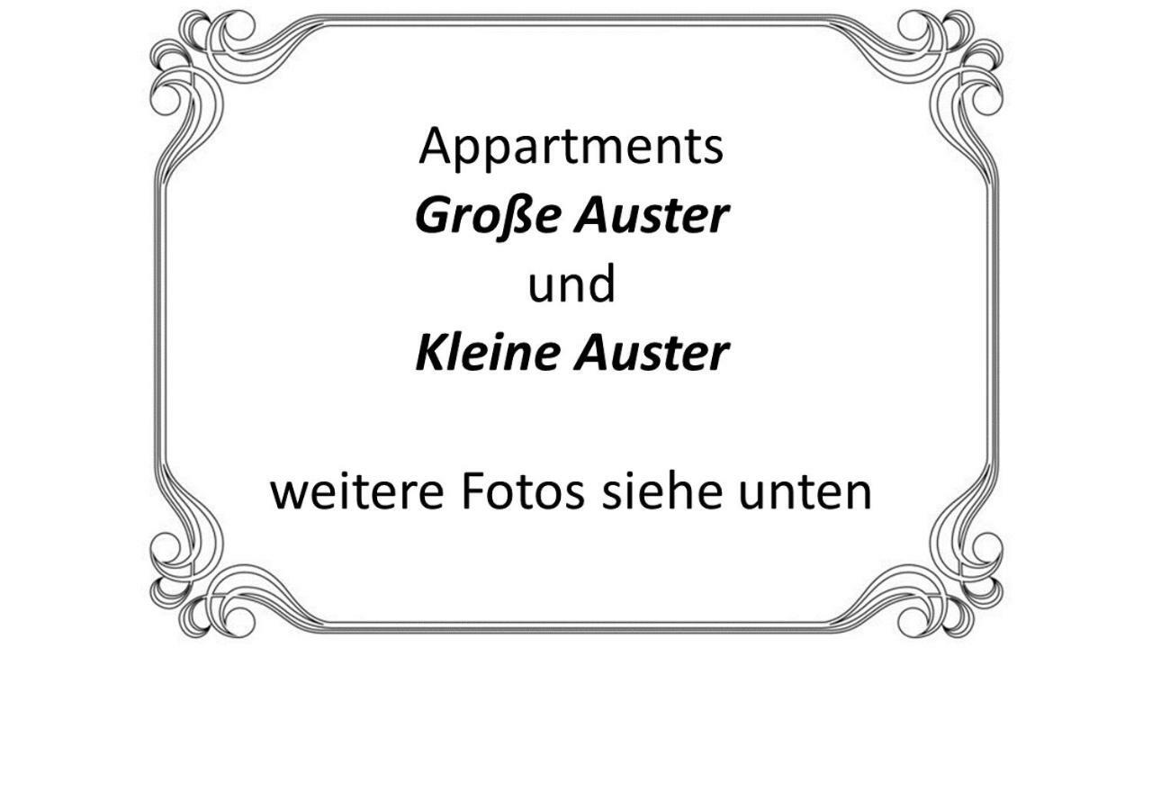 Auster-Appartements Saarbrücken Buitenkant foto